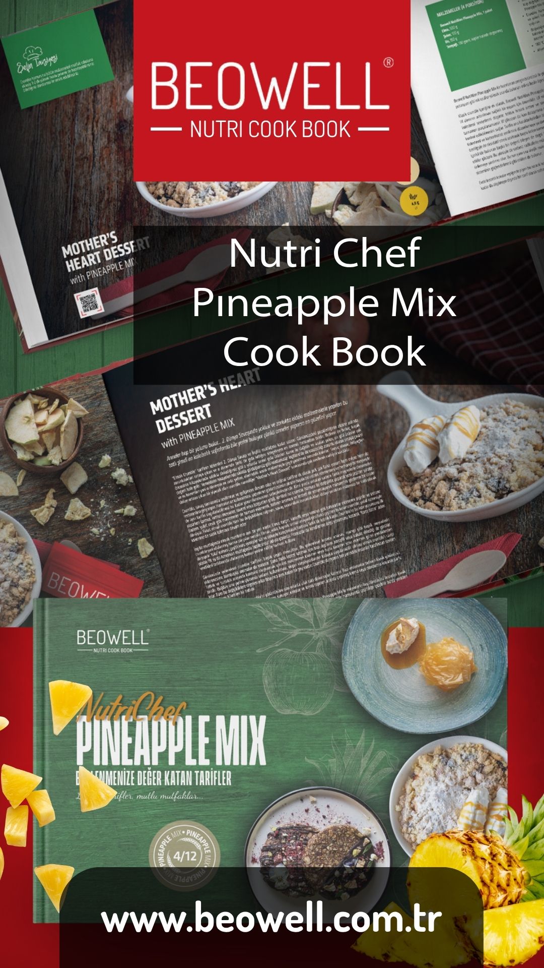 NUTRI CHEF PINEAPPLE MIX COOK BOOK