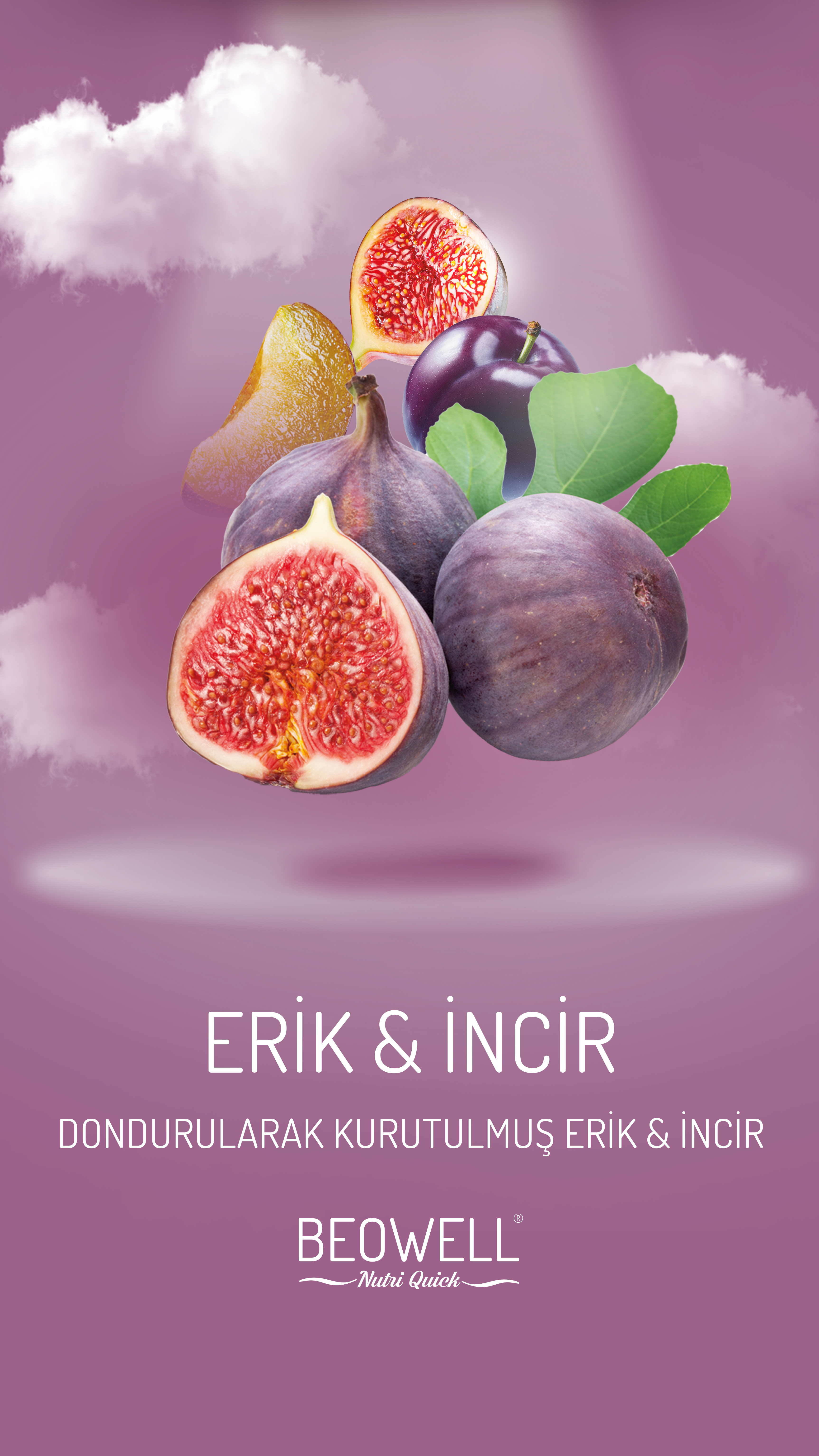 BEOWELL NUTRI QUICK ERİK ve İNCİR