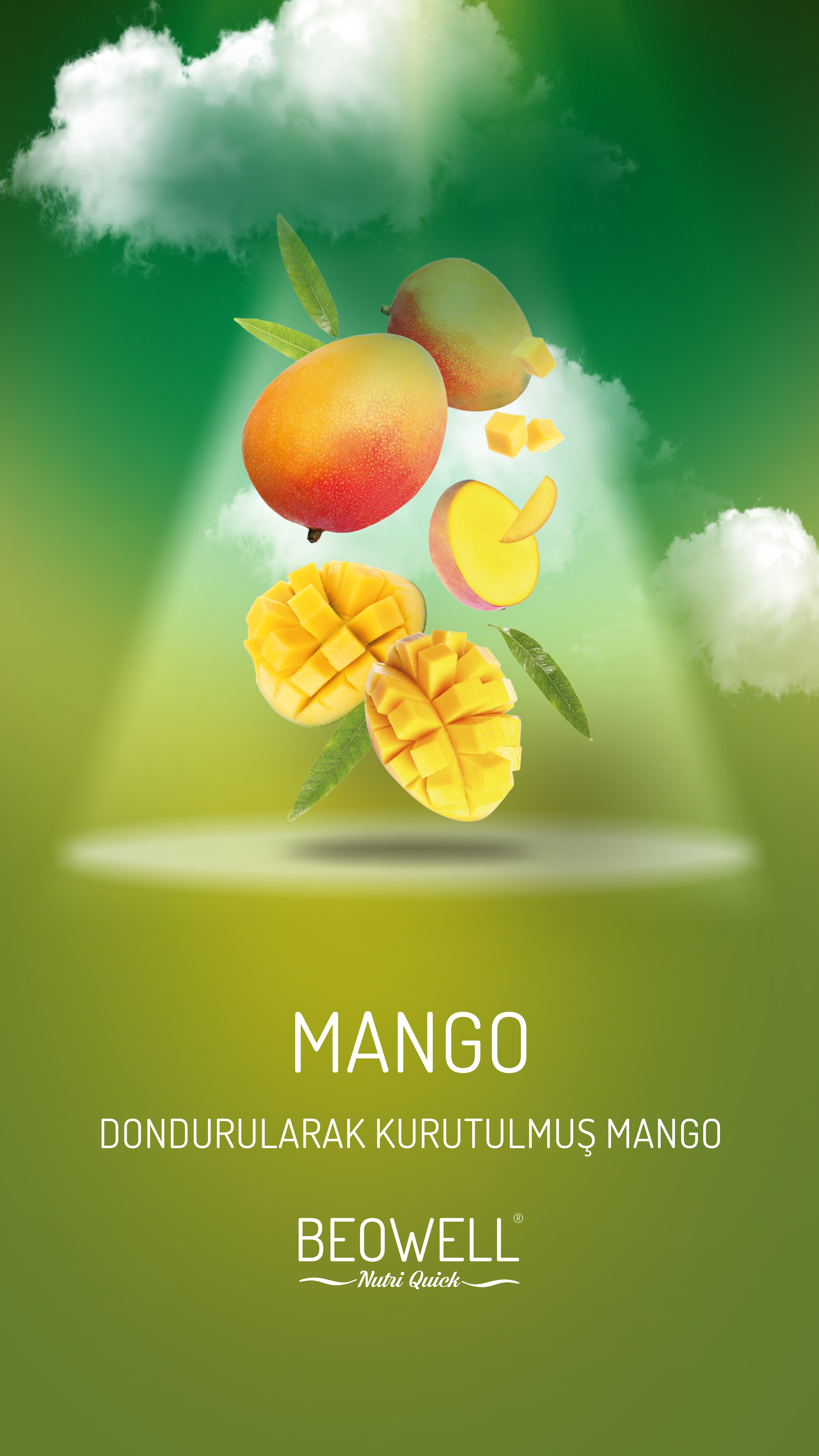 BEOWELL NUTRI QUICK MANGO